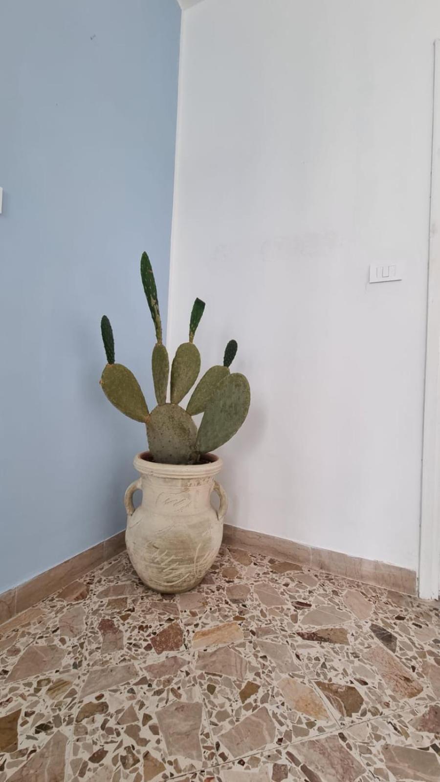 Appartement Il Fico D'India à Marsala Extérieur photo